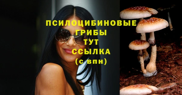 MDMA Вяземский