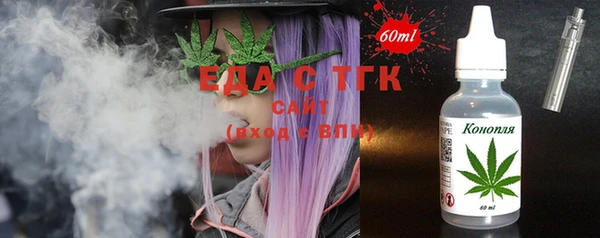 индика Вязьма