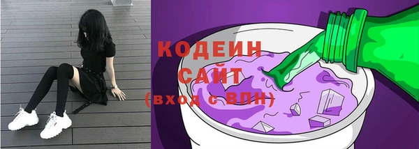 индика Вязьма