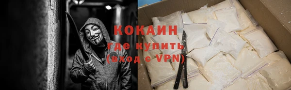 индика Вязьма
