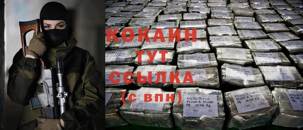 индика Вязьма