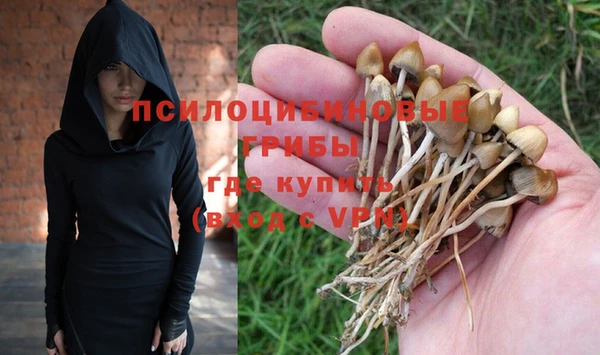 индика Вязьма