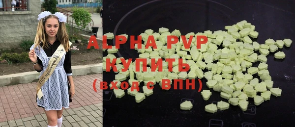индика Вязьма
