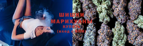 индика Вязьма