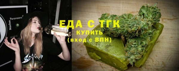 индика Вязьма